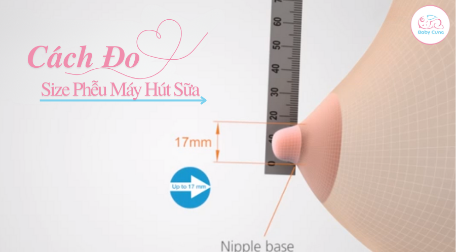 Cách Đo Size Phễu Máy Hút Sữa